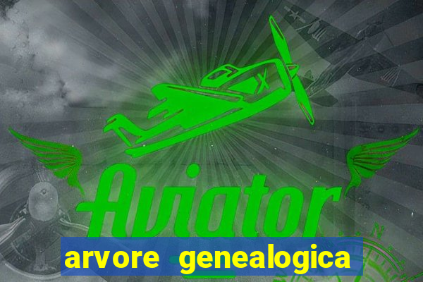 arvore genealogica dos gracie